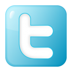 Twitter icon by YOO Theme:http://icons.yootheme.com